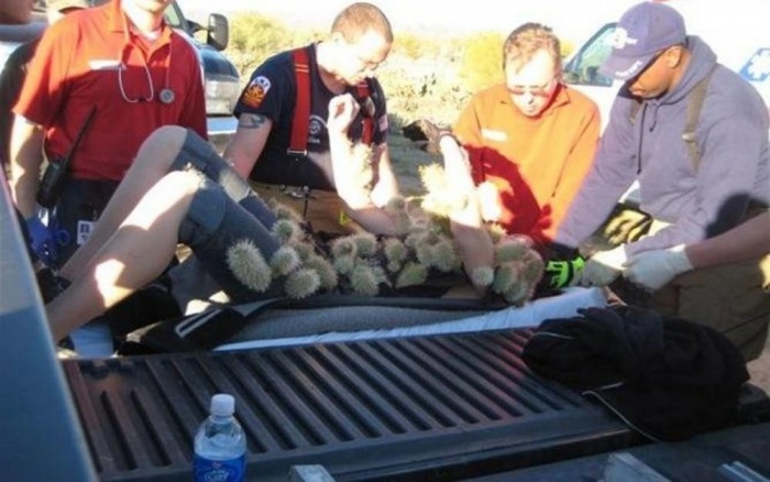 Фото взято из бесплатных источников Яндекс картинок