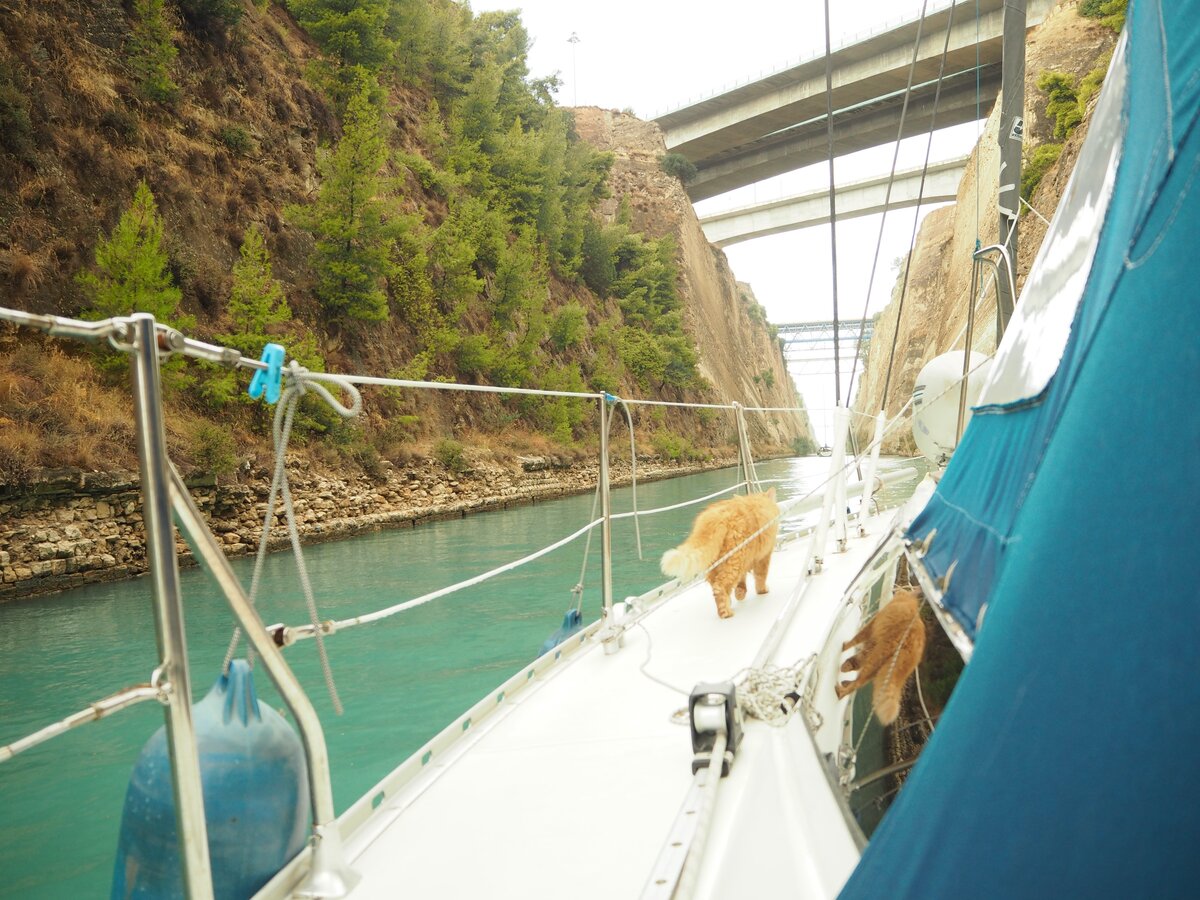 Наш кот при прохождении Коринфского канала (Греция) 