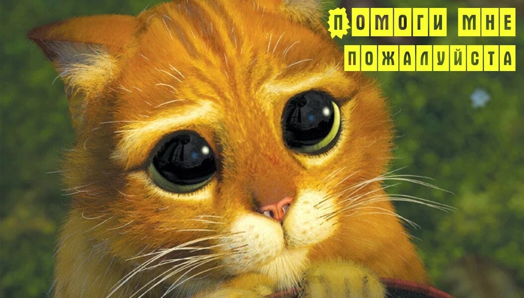 изображение позаимствовано из яндекс картинки