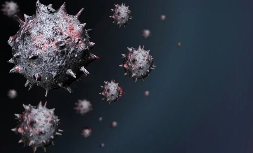 https://pixabay.com/ru/photos/coronavirus-%D0%B2%D0%B8%D1%80%D1%83%D1%81-%D0%BA%D0%BE%D1%80%D0%BE%D0%BD%D0%B0%D0%B2%D0%B8%D1%80%D1%83%D1%81-5009609/