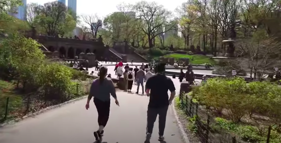 Центральный Парк Нью Йорка, конец апреля, карантин и хорошая погода, люди гуляют (фото - youtube.com)