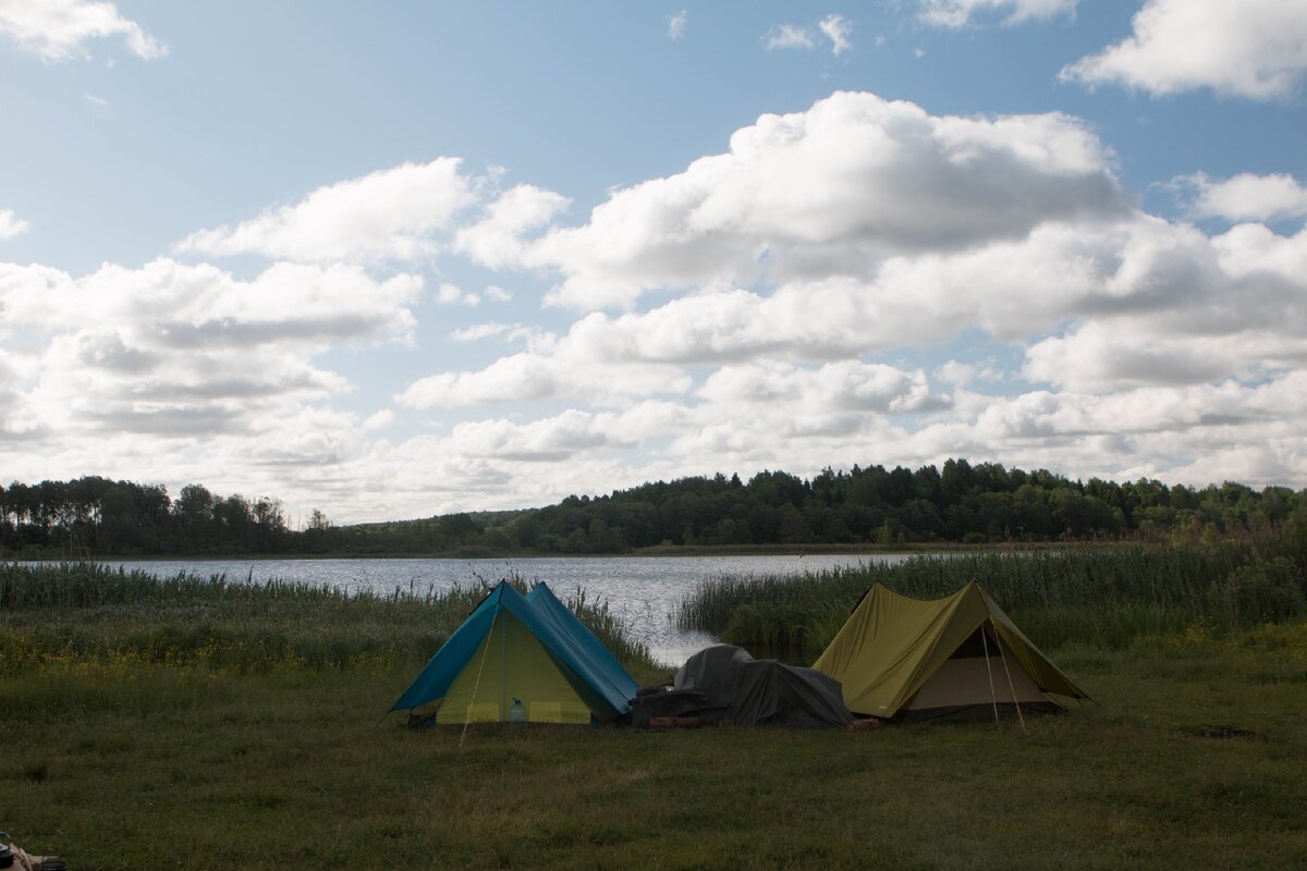 Скорее бы уж так)))