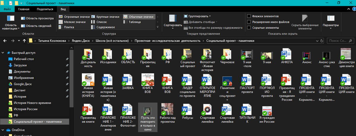 Проектная папка по социальному проекту