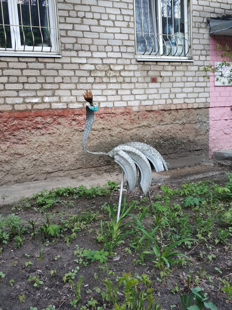 Страус-наводка