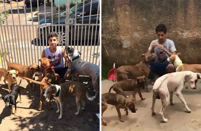 Эдуардо со своими питомцами