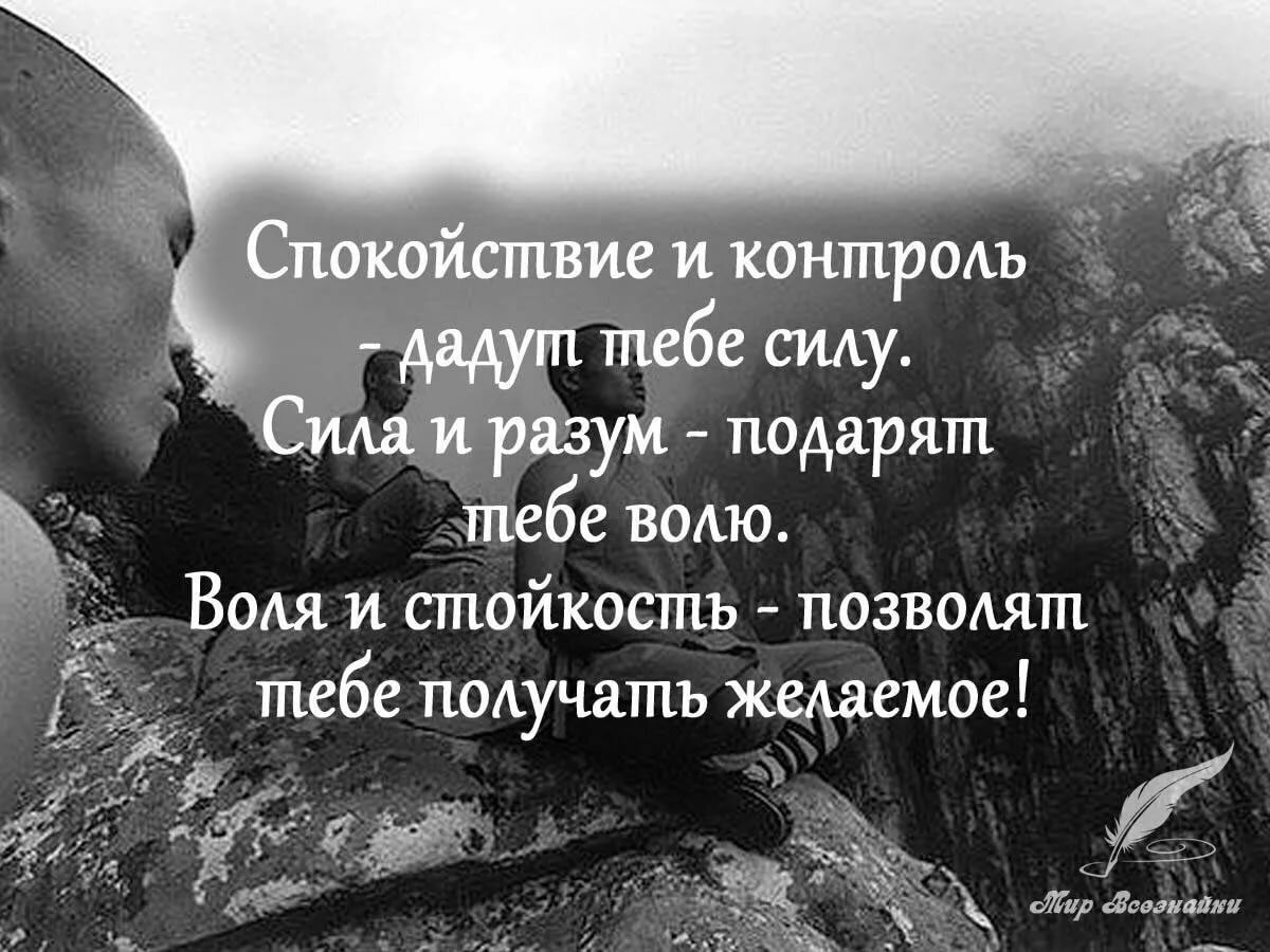 Воля судьбы и жизни. Цитаты про силу. Высказывания о силе духа. Спокойствие цитаты. Афоризмы про силу духа.