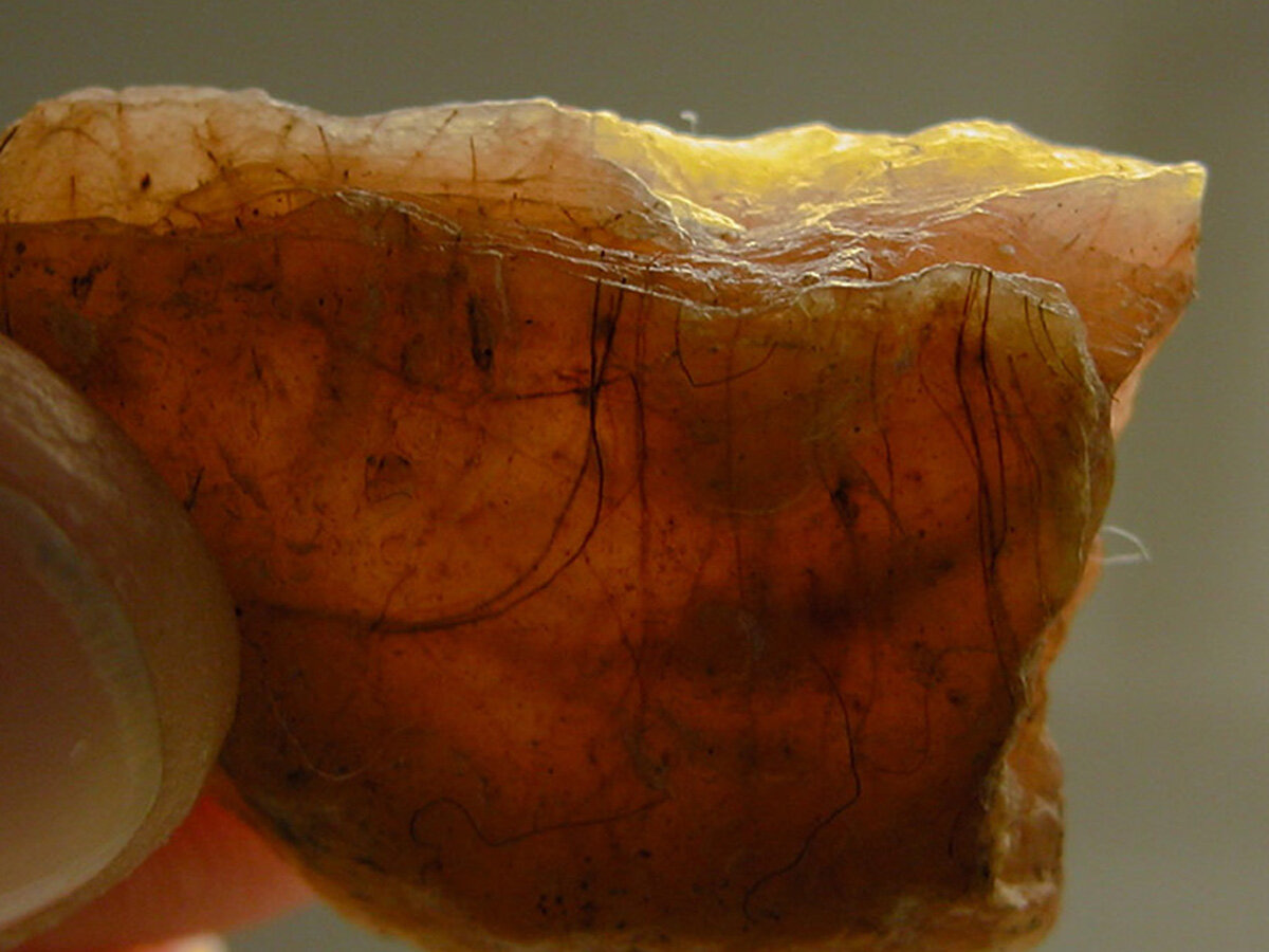 Деталь королевской печати Хильперика II из династии Меровингов. Фото: Archives Nationales