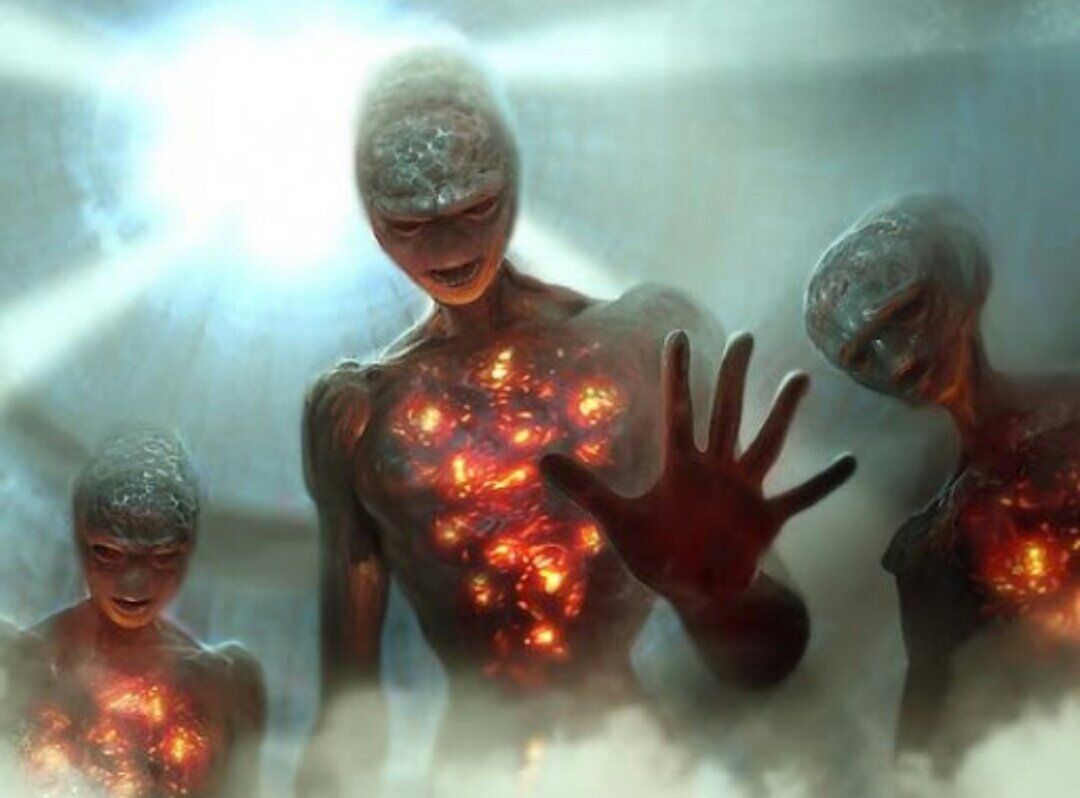 Фото из открытого источника.