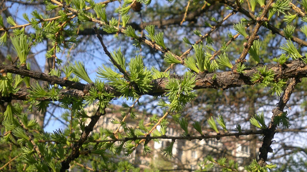 Моё личное фото