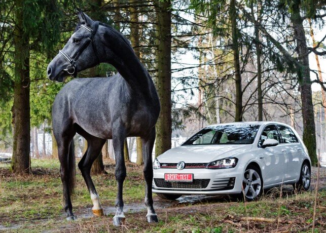 Ист: volkswagen.ru