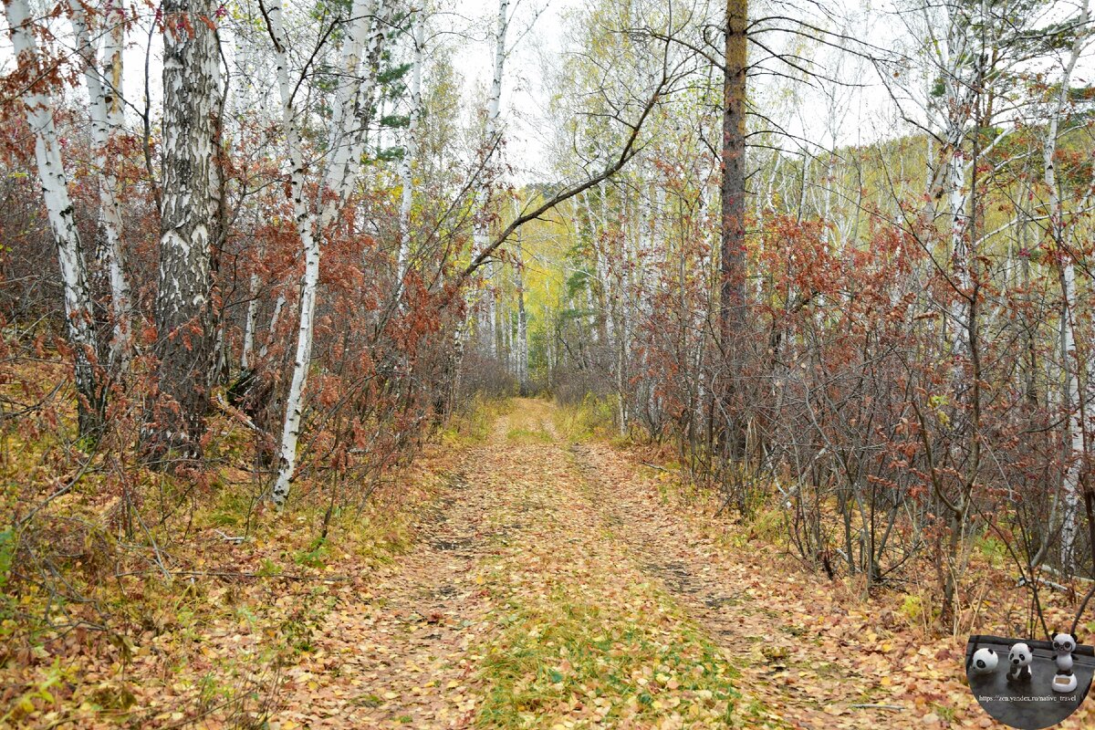 Дорога к Курочкиному Логу, 02.10.2018
