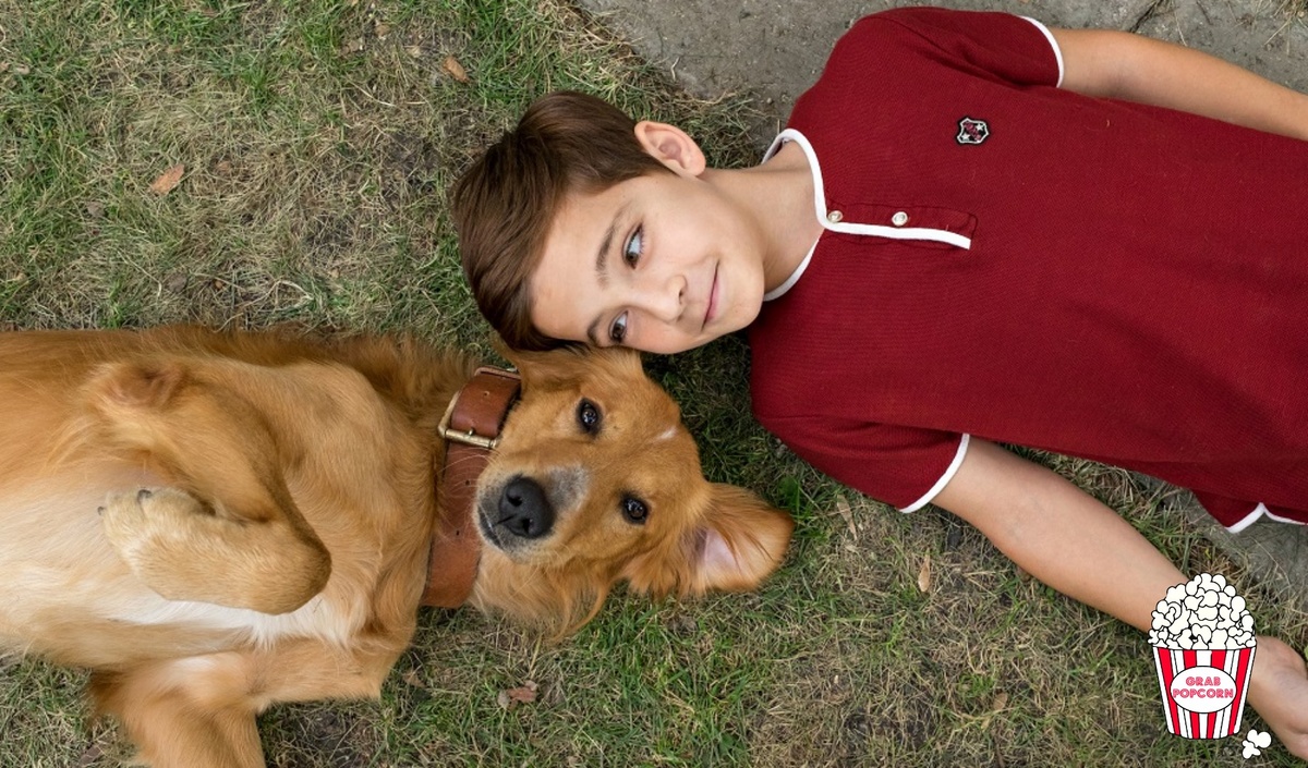 Кадр из фильма «Собачья жизнь»