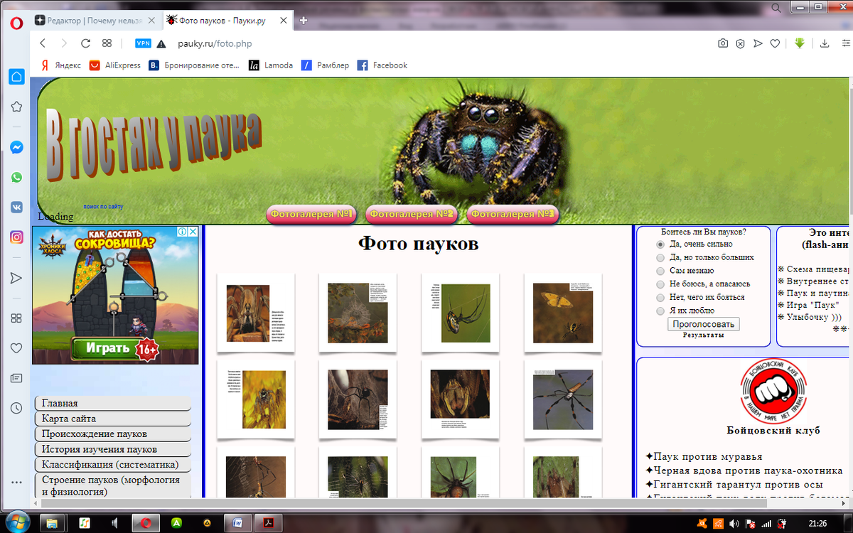 Скрин с сайта http://pauky.ru, посвященного паукам.