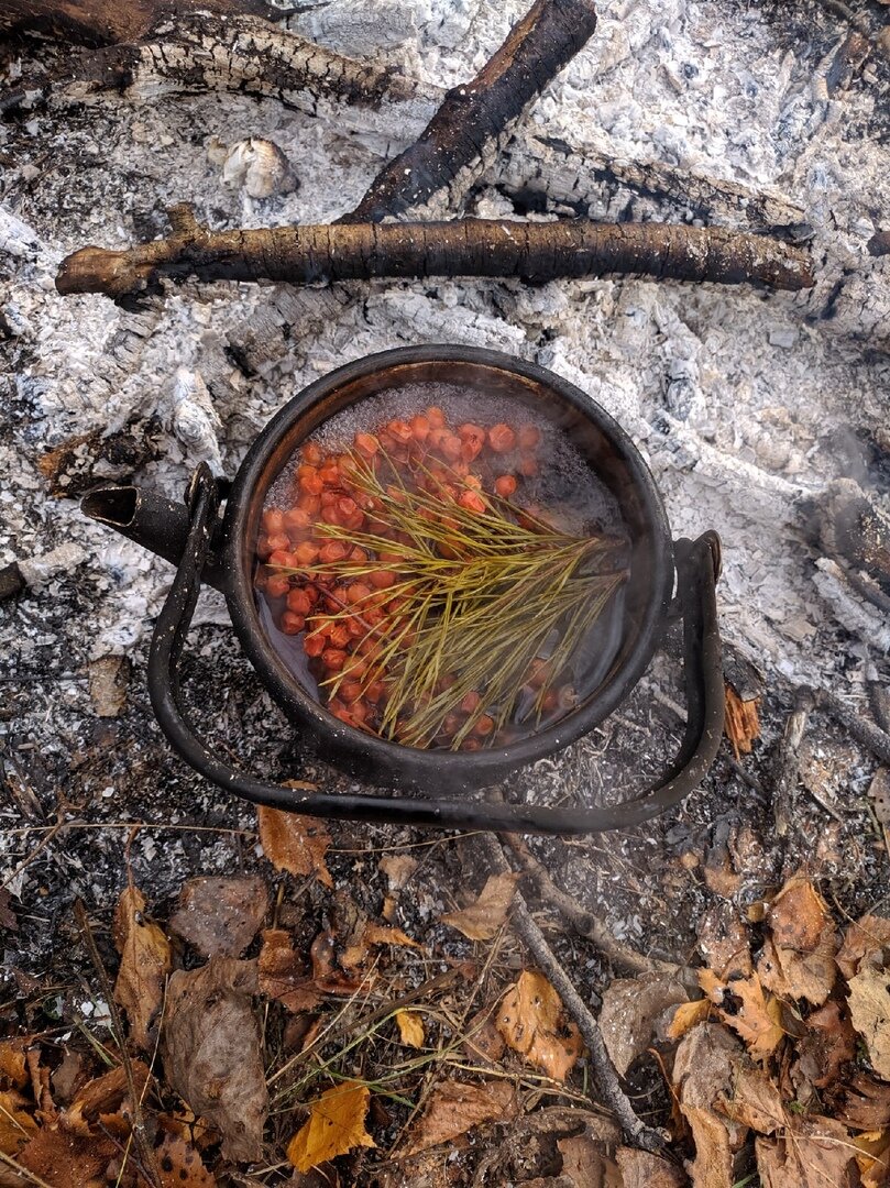 Витаминные чаи. Проверенные сочетания. Самый вкусный чай на природе и дома.  | Анна Антонова | Дзен