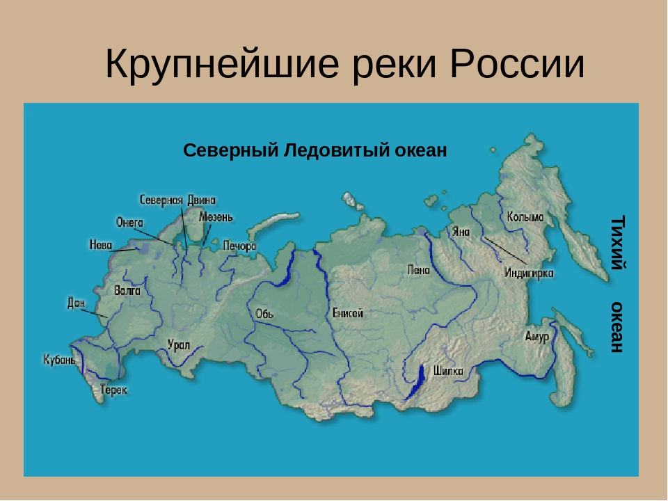 Какая самая длинная река в России? (опросила 10 человек, и лишь один