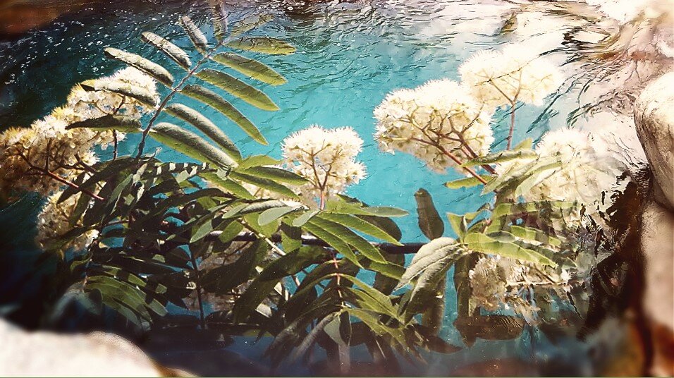 Личный архив