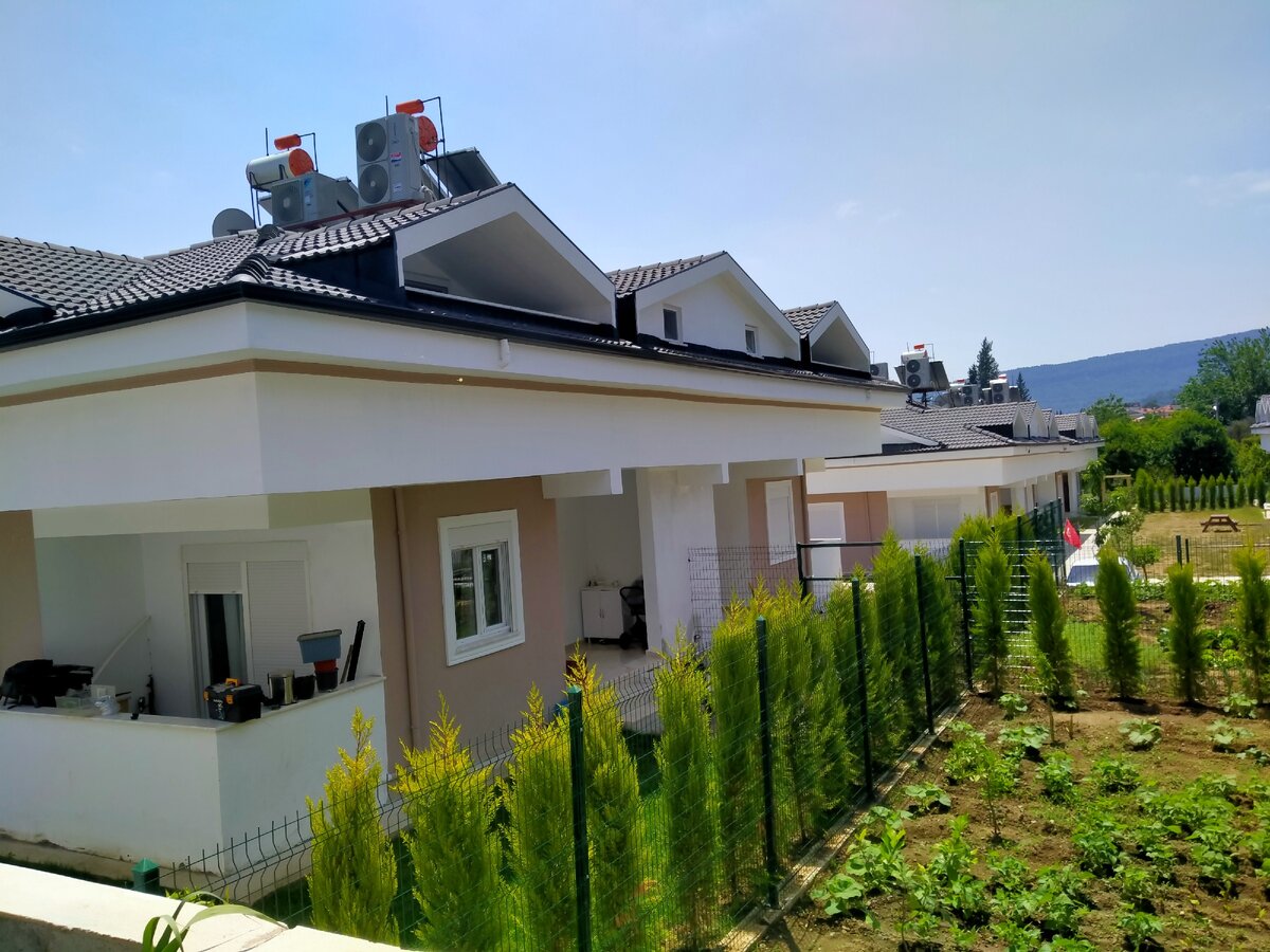 Один из видов местных сите. Фото из личного архива.