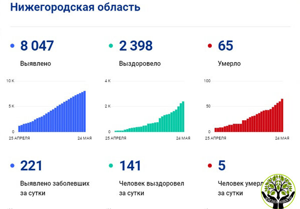 Информация с официального сайта стопкоронавирус.рф