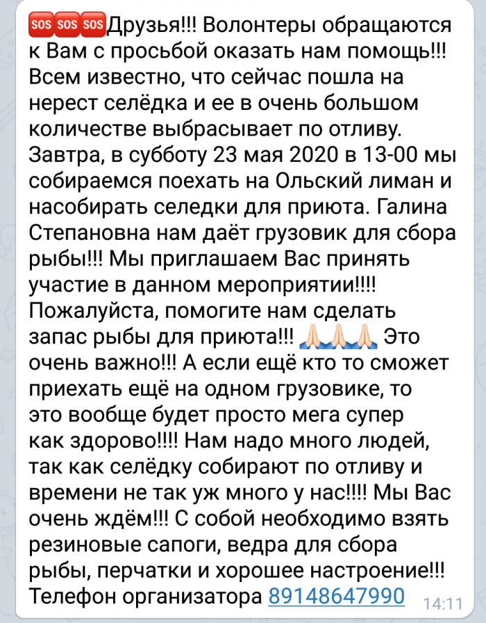 screen, в выходные горожане и рыбу половили, и доброе дело сделали 