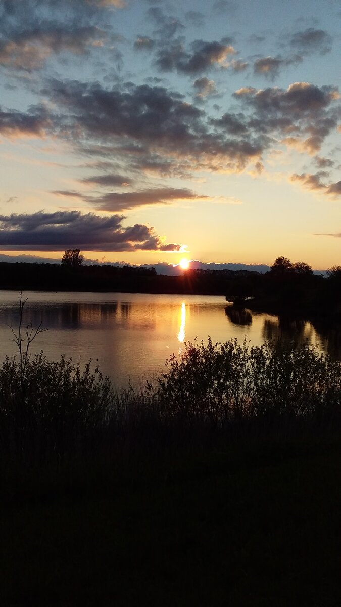 Закат над зеркалом пруда