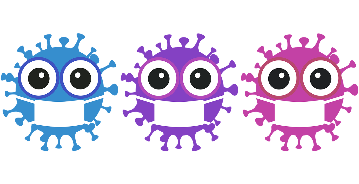 фото из открытого источника