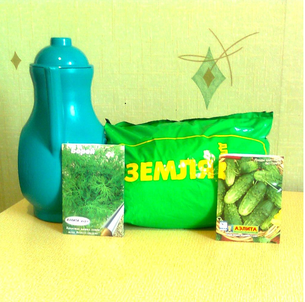 стартовый комплект