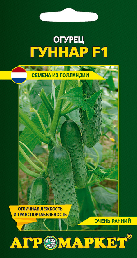 Гуннар F1
