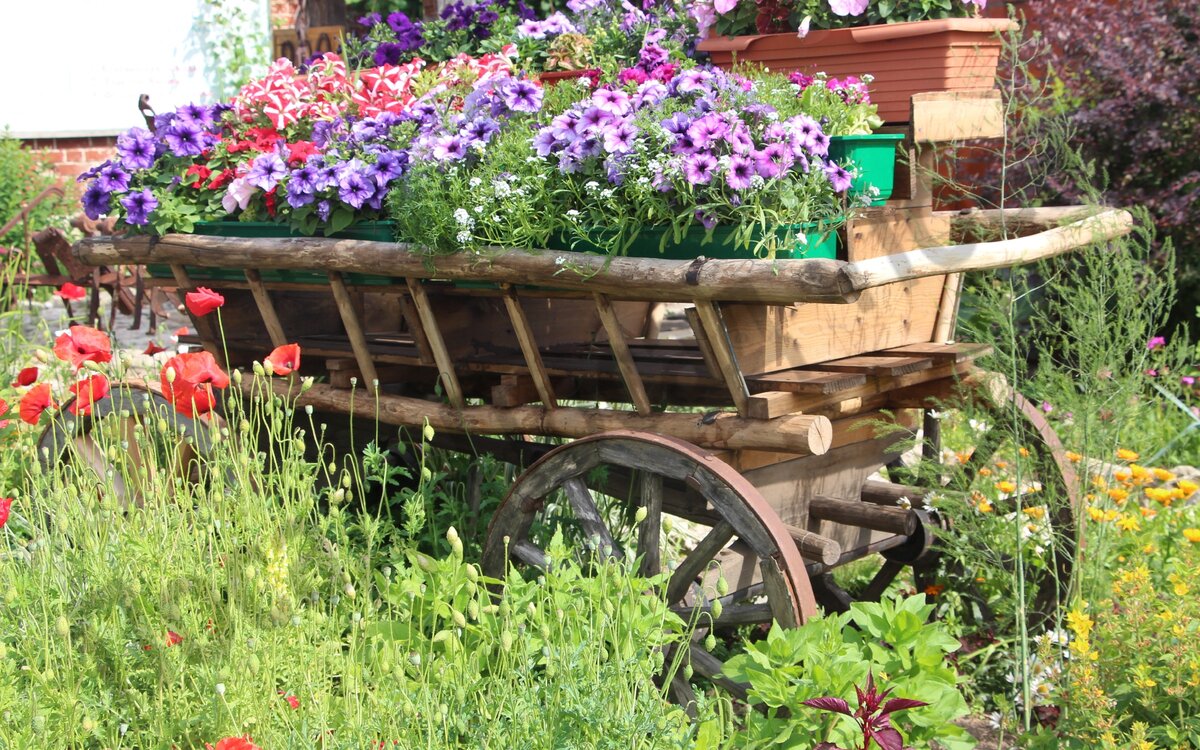 Прошу прощения за испачканное водяным знаком фото. Воруют-с.