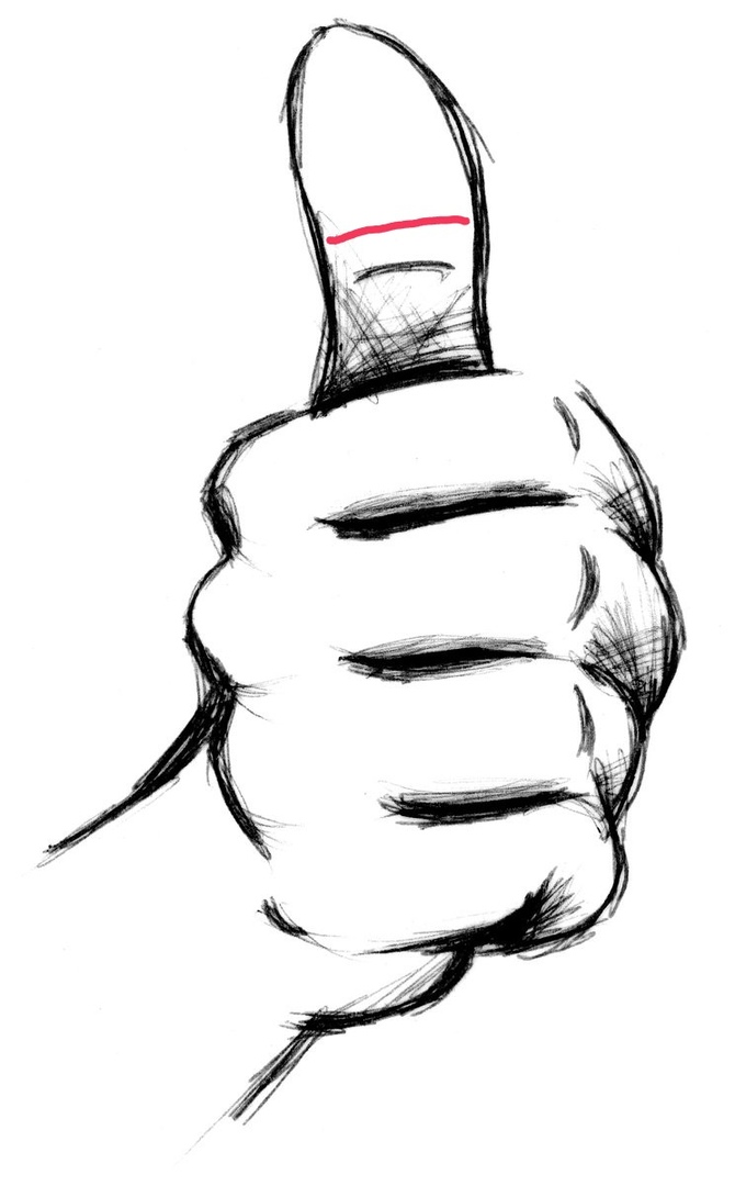 Красным цветом отмечена линия недовольства партнером.