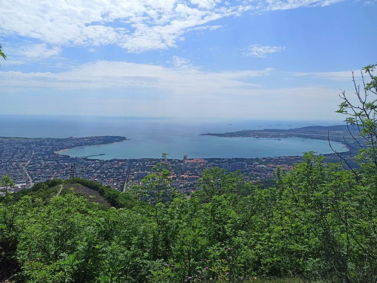 вид на бухту Геленджика