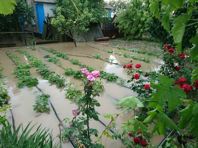 с.Новокрымское, Джанкойский район. Фото Елены Дмитриевой