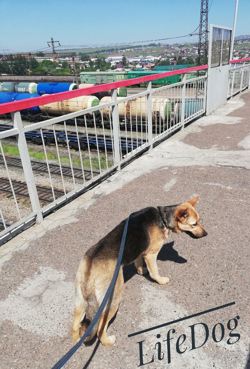 Страшновато идти по мосту