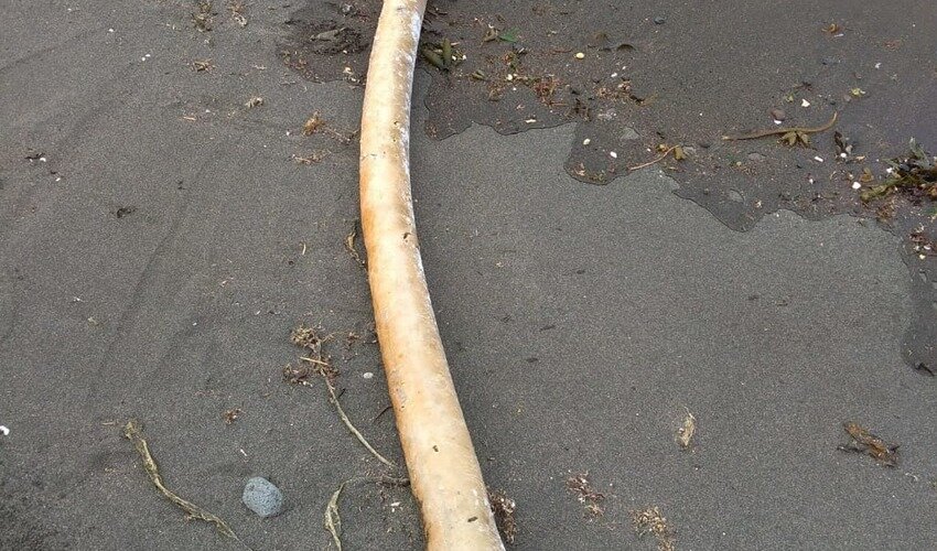 Фото: Сергей Лакомов