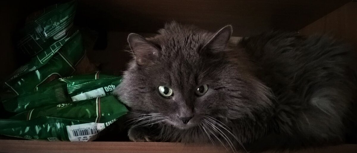 Сам дьявол смотрит тебе в душу с мыслью о том, чтобы там нагадить.