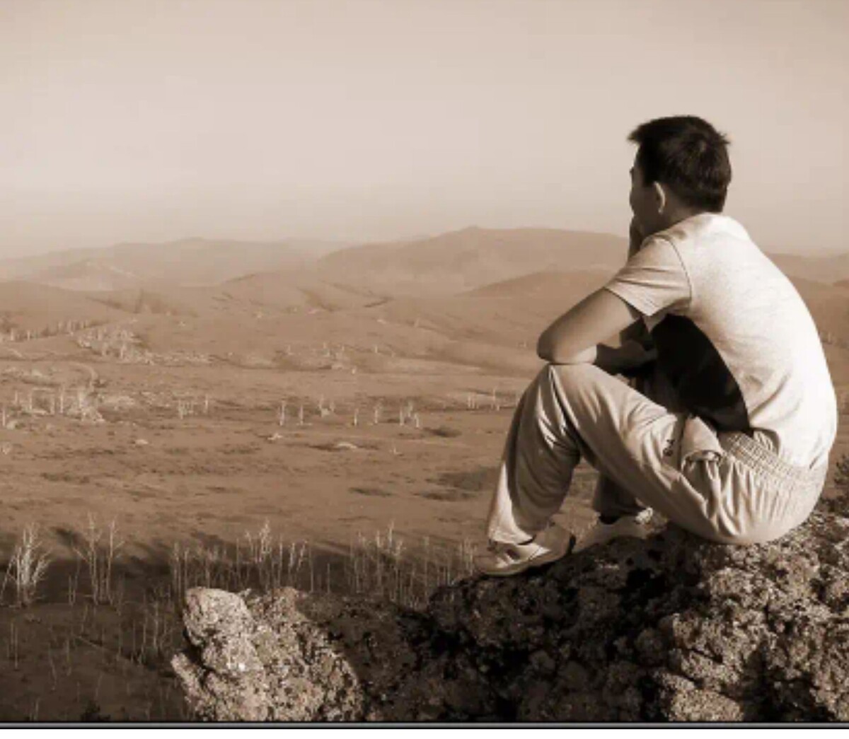 Яндекс картинка