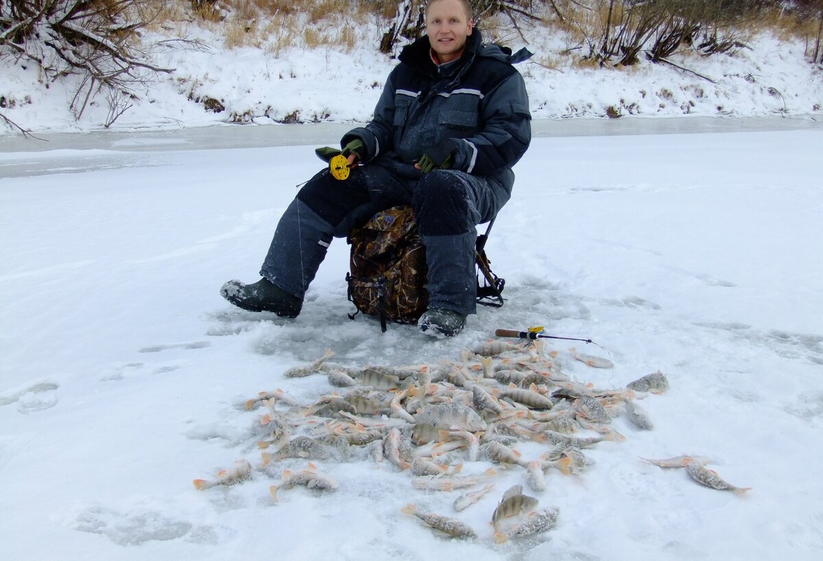 В перволёдье важно понимать. где скапливается рыба во время адаптации к зимним условиям