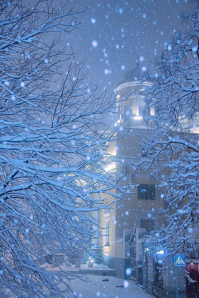 Snowing pic. Снегопад. Падающий снег. Зима снег. Красивый снегопад.