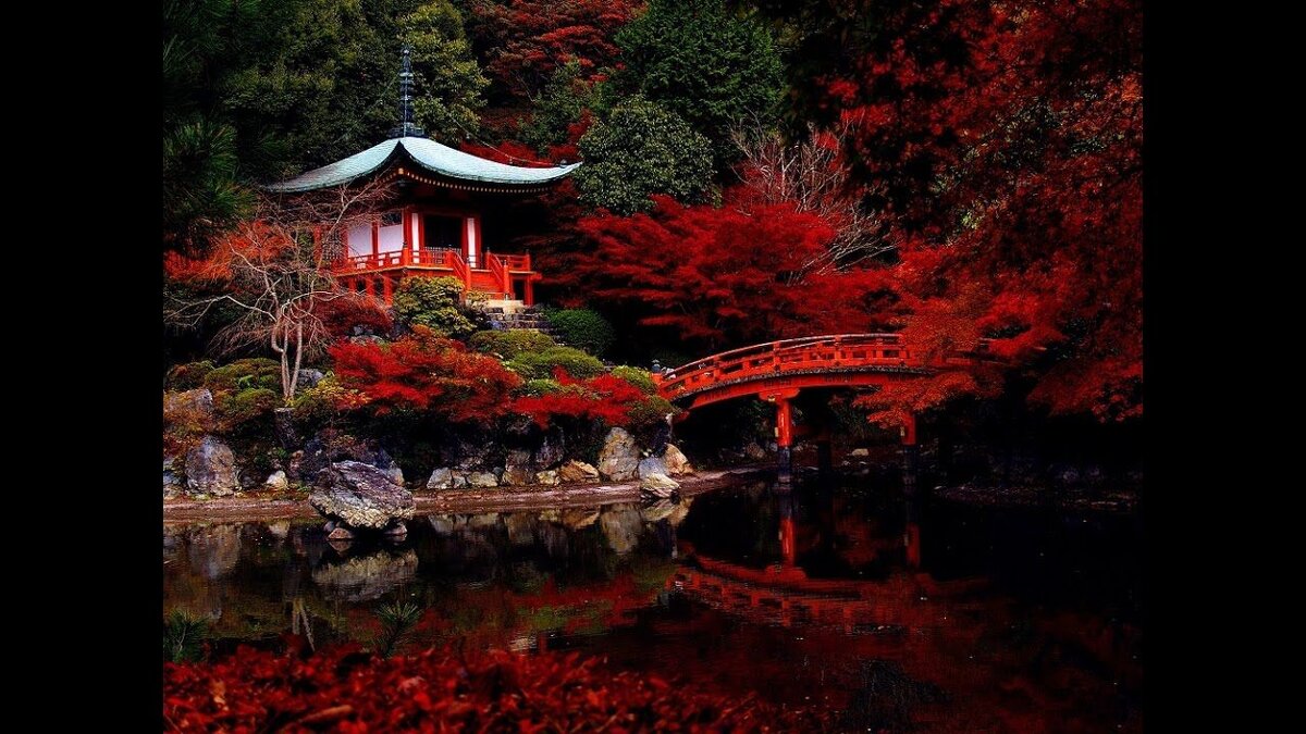 Чайный дом, где-то в Японии.... Жаль, что не я фотографировал