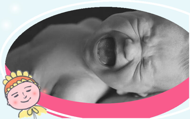 Фото из открытого источника, коллаж автора канала "От 0 до 6"