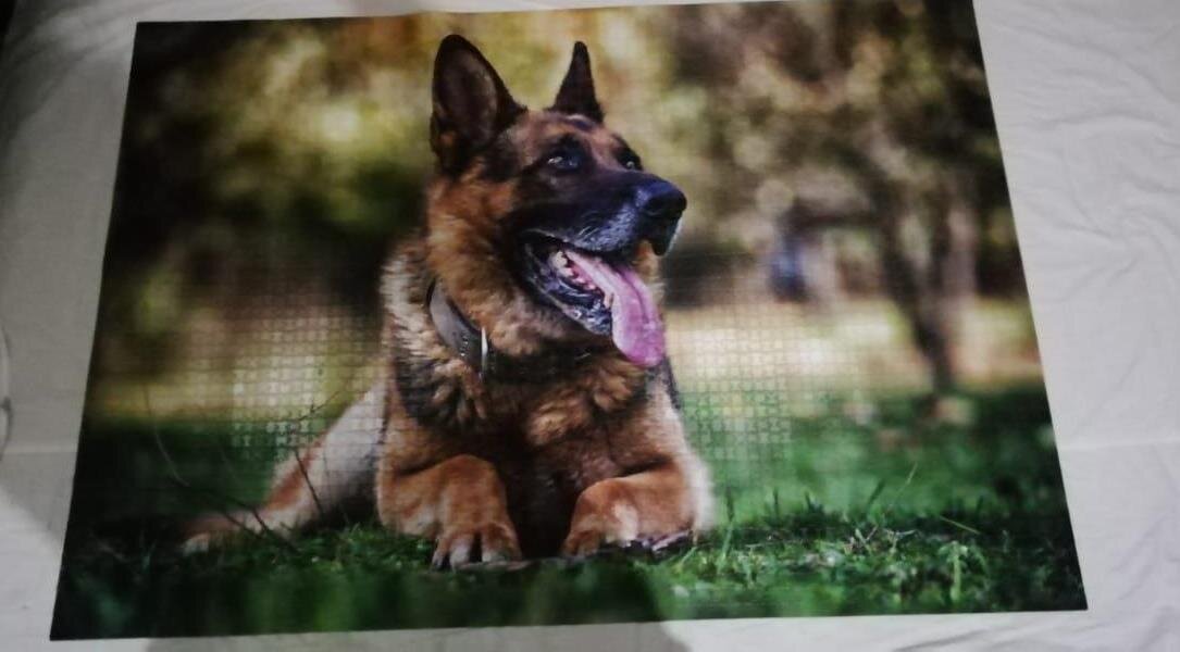 картина собрана