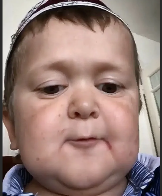 фото взято из открытого источника - яндекс картинки