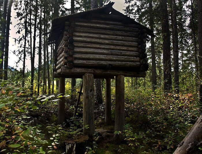 Взято из Яндекс картинки.