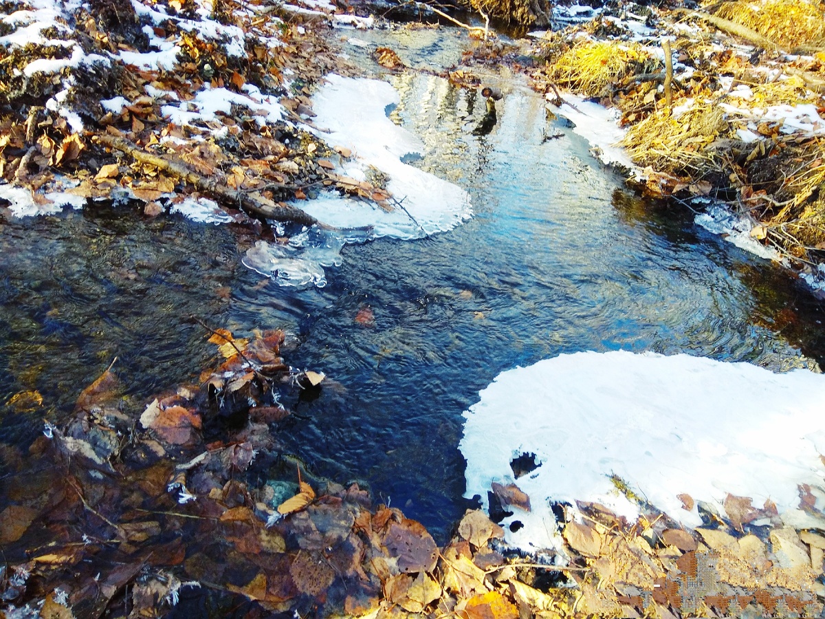 Фото автора: Екатерина Уметбаева.