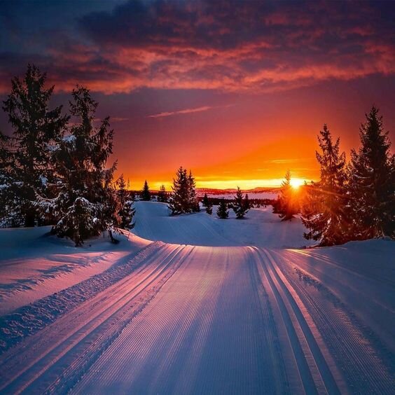 фото взято из источника https://www.pinterest.ru/pin/AV-pkC4XBreKMw2gG4pRJL3MX82an9T7AfDUh1h8UbO5G8FCJ37Mnks/