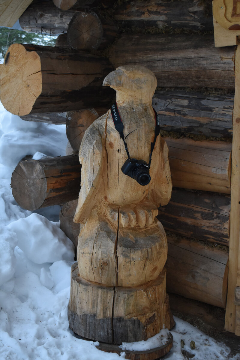 Примерно таким фотографом я себя и вижу, орлом - но деревянным! 