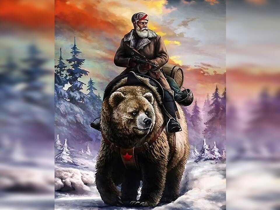 Grizzly медведь: изображения без лицензионных платежей