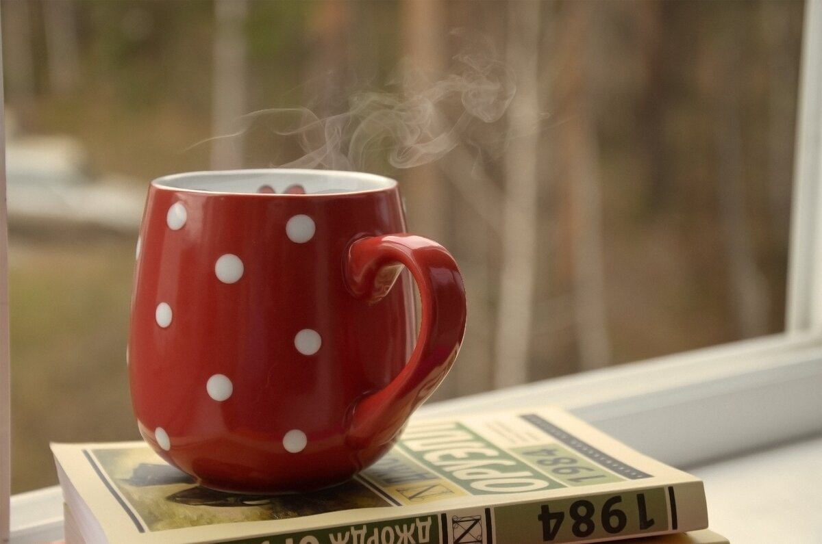 yandex картинки