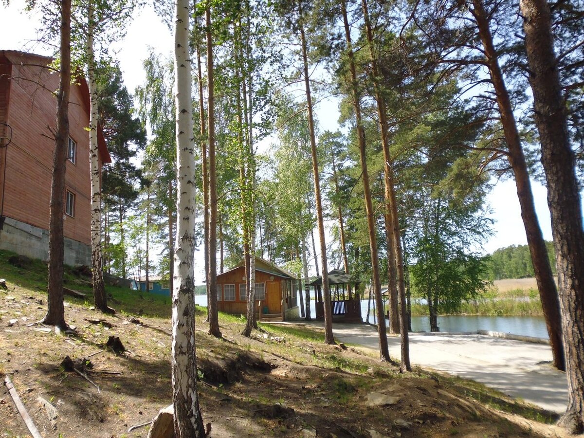 Доброго здравия, читатель!