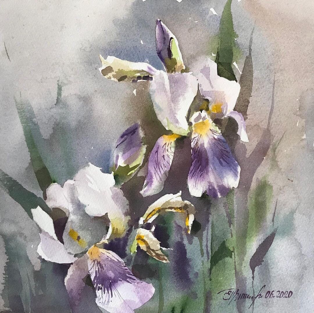 Елена Прокопенкова. Ирисы.