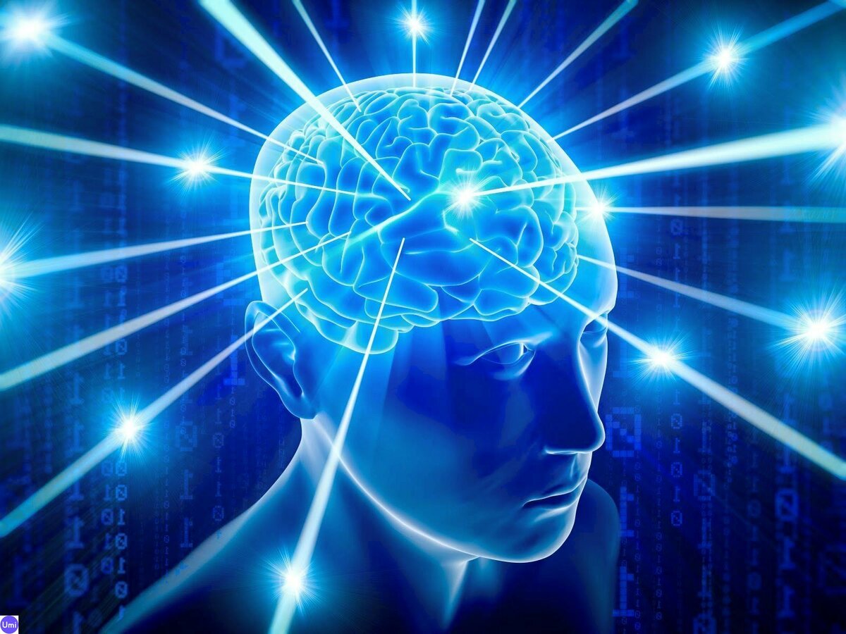 Подписывайтесь на канал и ставьте лайки! Так Вы сможете помочь развитию канала! Заранее спасибо!